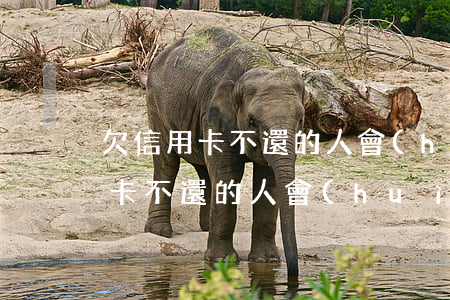 欠信用卡不還的人會(huì)怎樣(欠信用卡不還的人會(huì)怎樣)