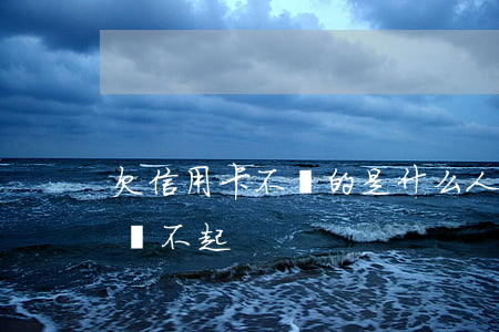 欠信用卡不還的是什么人(有多少人欠信用卡還不起)