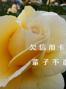 欠信用卡不還的法律代價(信用卡欠款可以一輩子不還嗎)
