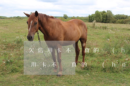 欠信用卡不還真的會(huì)坐牢嗎(欠信用卡不還真的會(huì)坐牢嗎)
