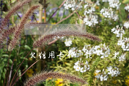 欠信用卡不還能訂機票嗎