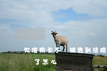 欠信用卡不還被告到法院(欠信用卡被法院起訴了怎么辦)