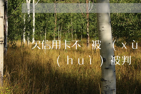 欠信用卡不還被訓(xùn)誡(欠信用卡不還會(huì)被判幾年)
