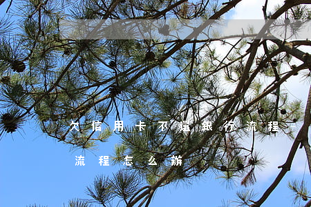 欠信用卡不還銀行流程-欠信用卡不還銀行流程怎么辦