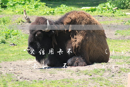欠信用卡不還錢會(huì)判刑嗎(欠信用卡的錢不還會(huì)坐牢嗎)