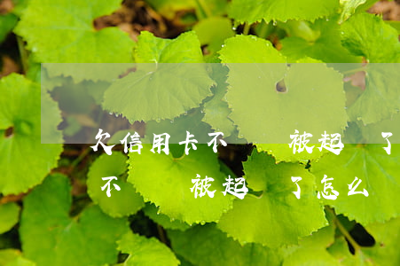 欠信用卡不還錢被起訴了怎么辦-欠信用卡不還錢被起訴了怎么辦理