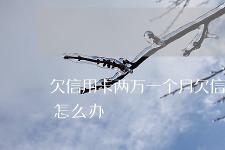 欠信用卡两万一个月(欠信用卡两万块钱不还怎么办)