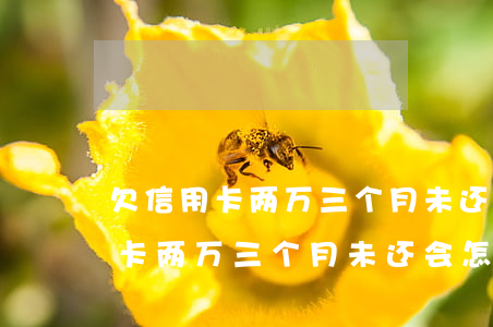 欠信用卡两万三个月未还会怎么样-欠信用卡两万三个月未还会怎么样吗