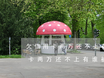 欠信用卡两万还不上有谁被起诉过-欠信用卡两万还不上有谁被起诉过吗