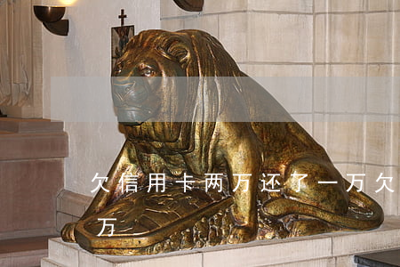 欠信用卡两万还了一万(欠信用卡两万还了一万)