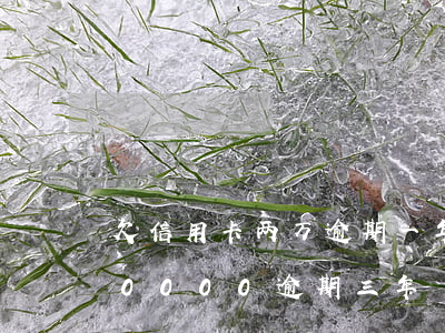 欠信用卡两万逾期一年多的后果（信用卡欠20000逾期三年）