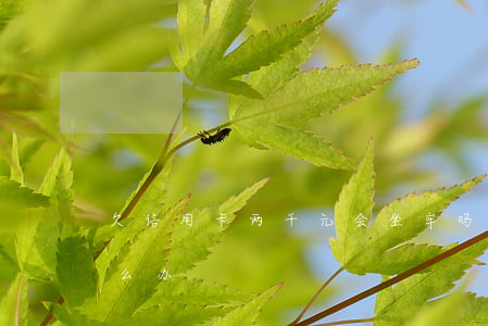 欠信用卡两千元会坐牢吗（欠信用卡二千元怎么办）