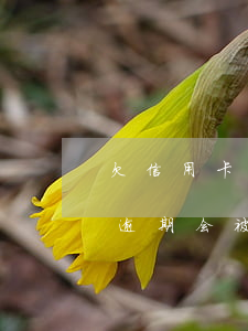 欠信用卡两千多会不会被起诉（信用卡欠两千逾期会被起诉吗）