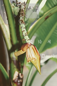欠信用卡九千多半年沒還,會(huì)被怎么樣?（信用卡逾期九年沒還會(huì)怎么樣）