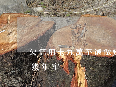 欠信用卡九萬不還做幾年牢(欠信用卡十萬坐幾年牢)