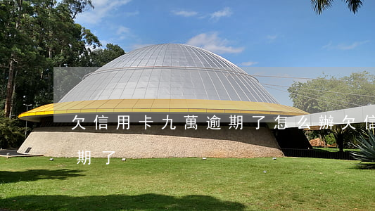 欠信用卡九萬逾期了怎么辦（欠信用卡九萬逾期了）
