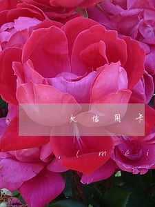 欠信用卡也在還 欠信用卡錢(qián)沒(méi)還還能貸款嗎
