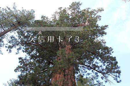 欠信用卡了3萬怎么辦(欠信用卡三萬)