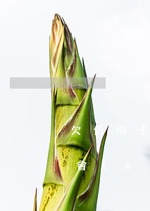 欠信用卡了怎么借錢(如何欠信用卡的錢才不會(huì)坐牢)