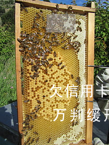 欠信用卡二十万新规判刑多少（信用卡欠20万判缓刑）