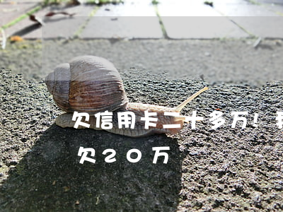 欠信用卡二十多万!我该怎么办（朋友信用卡欠20万）
