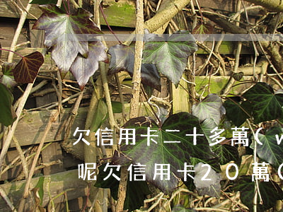 欠信用卡二十多萬(wàn)還不上怎么辦呢 欠信用卡20萬(wàn)還不上會(huì)有什么后果