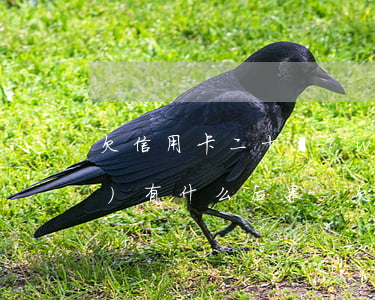 欠信用卡二十萬(wàn)不還會(huì)有什么后果-欠信用卡二十萬(wàn)不還會(huì)有什么后果嗎