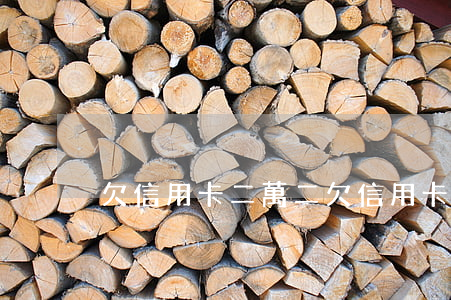 欠信用卡二萬二(欠信用卡兩萬)