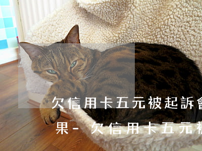 欠信用卡五元被起訴會(huì)是什么后果-欠信用卡五元被起訴會(huì)是什么后果呢