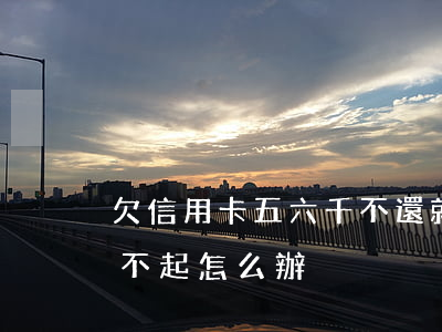 欠信用卡五六千不還就怎樣(欠信用卡6萬還不起怎么辦)