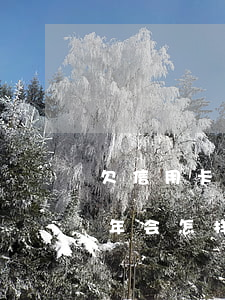 欠信用卡五十万逾期了（50万信用卡逾期半年会怎样）