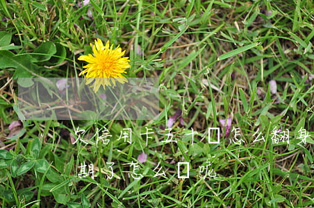 欠信用卡五十萬怎么翻身（欠信用卡五十萬逾期了怎么辦呢）