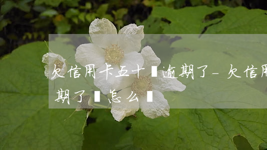 欠信用卡五十萬逾期了-欠信用卡五十萬逾期了會怎么樣