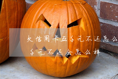 欠信用卡五千元不还怎么办(欠银行信用卡五千元不还会怎么样)