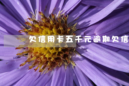 欠信用卡五千元逾期(欠信用卡五千不還會怎樣)