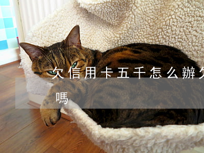 欠信用卡五千怎么辦(欠信用卡五千元會坐牢嗎)