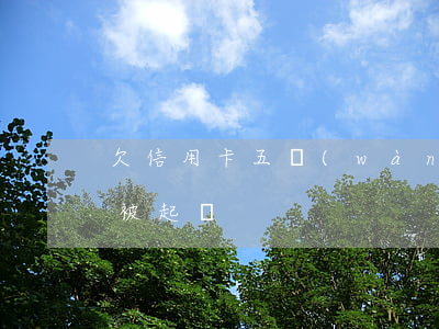 欠信用卡五萬(wàn)多久會(huì)被起訴