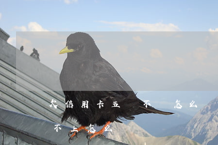 欠信用卡五萬不還怎么辦(信用卡欠款五萬還不上怎么辦)