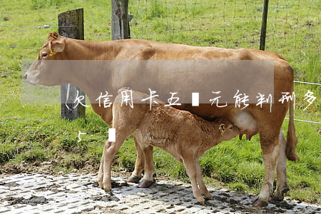 欠信用卡五萬元能判刑多久?（李先生欠信用卡5萬）