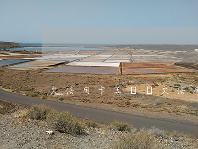 欠信用卡五萬塊(欠信用卡五萬塊怎么辦)