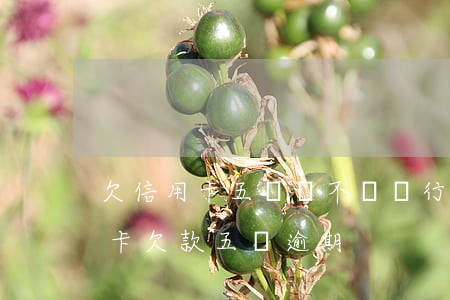 欠信用卡五萬會不會銀行起訴（花旗銀行信用卡欠款五萬逾期）