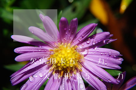 欠信用卡五萬無力償還會(huì)坐牢嗎-欠信用卡5萬無力償還坐牢了