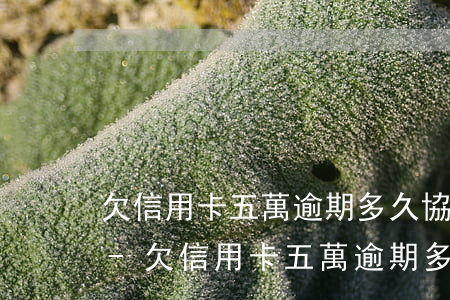 欠信用卡五萬逾期多久協(xié)商合適-欠信用卡五萬逾期多久協(xié)商合適呢