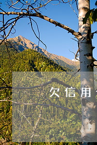 欠信用卡五萬還不起會怎樣