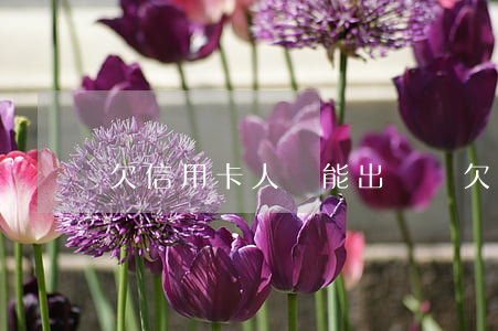 欠信用卡人員能出國嗎(欠信用卡人員能出國嗎)