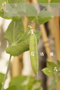 欠信用卡人在國(guó)外可以提起訴訟嗎-欠信用卡人在國(guó)外可以提起訴訟嗎知乎
