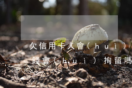 欠信用卡人會(huì)被拘留嗎(欠信用卡錢會(huì)拘留嗎)