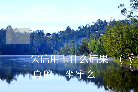 欠信用卡什么后果嚴(yán)重(欠信用卡真的會坐牢么)