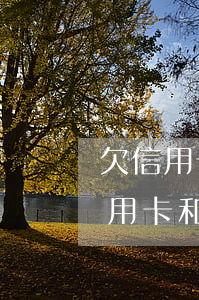 欠信用卡以及網(wǎng)貸50萬(欠信用卡和網(wǎng)貸幾十萬無力償還)