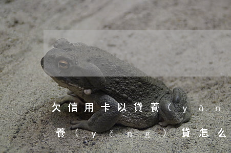 欠信用卡以貸養(yǎng)貸的路子(以貸養(yǎng)貸怎么辦)